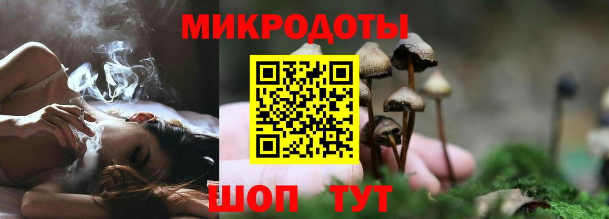 Камышин  Псилоцибиновые грибы Psilocybe  Вход с VPN 